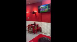 Cat transfixed by Tom and Jerry cartoon playing in cafe