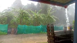 Intense Rooftop Runoff as Monsoon Batters Malenadu