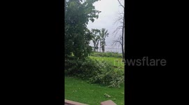 US: Severe storm brings damage to Canastota, NY