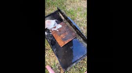 Grill grease? Handled. TikTok cleaning hack wows with $4.99 dish rag deal
