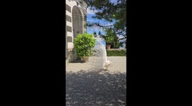 White Peacock Shows Off Tail