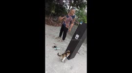 Determined cat squeezes into speaker to catch a rat