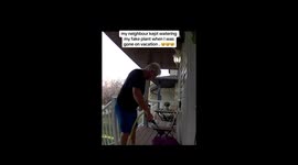 Plant hero and kind neighbor waters fake flower with full commitment