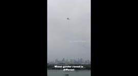 Miami Gender Reveal Is Different