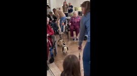 Penguins Visit Friends at an Assisted Living Home