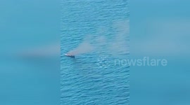 Italy: Ship Catches Fire and Sinks Leaving Coast Guard to Save Survivor