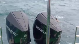 Two fishermen rescued by park rangers after boat capsizes in rough sea