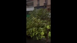 France: Violent Thunderstorm Batters Paris, Causing Flooding and Damage