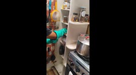 Man catches rat hiding beside stove in Arica, Chile