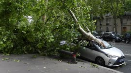 Multiple vehicles damaged by falling trees as deadly storm hits Paris