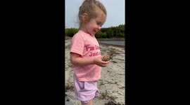 Little girl gently releases crab on the beach in Phippsburg, Maine, USA