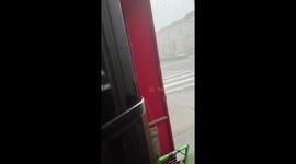 Strong storm knocks down tree in Brooklyn, New York, USA