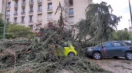 Vehicles buried under fallen trees as deadly storm hits Paris