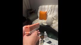 Dog adorably catches water from toy gun in Hubei, China