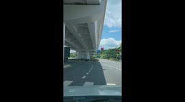 Unexpected cattle encounter on the road in Ganzhou, Jiangxi, China