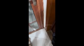 Cat with deep meow charms owner in Hubei, China