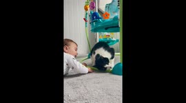 Baby adorably tests the patience of family cat with some whisker-grabbing antics