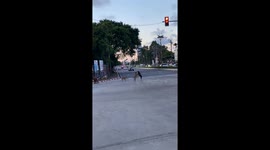 Stray dogs hold up cars as they wrestle on the road