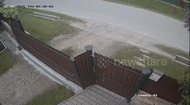 Bear Climbs Over Fence
