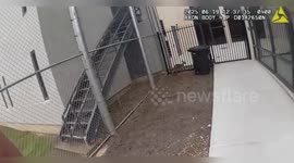 US: Fawn's Daring Jailbreak Thwarted by Heroic Deputy