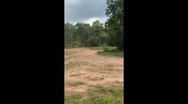 Motorcycle sidecar overturns while speeding round wacky race track