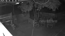 Terrified couple flee as lightning strikes above their heads