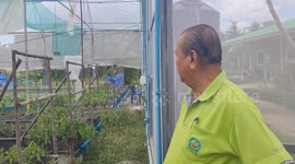 Thai cannabis farmer supports government u-turn on legalisation