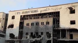 Palestinian death toll in Gaza rises to 56,259