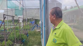 Thai cannabis farmer supports government u-turn on legalisation