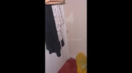 Giant spider crawls behind door in London, England, UK