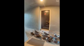 The ducks want to go to the pool too!