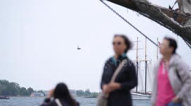 Canada: Toronto Waterfront Festival welcomes tall ships with Parade of Sail