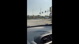 Giant Family of Geese Cross the Road