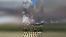 Türkiye: Massive Firefighting Operation Battles Blaze In Izmir As Aircraft Swarm The Skies