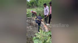 Man lowered into well to rescue jackal in India