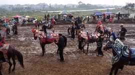 Artists Performs Dancing Horse Known as Kuda Renggong Martial Art in Sumedang