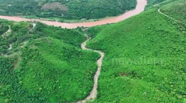 China: Spectacular butterfly boom appears again in river valley in Yunnan