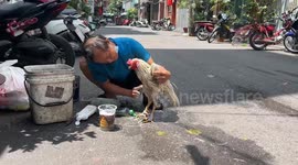 Vietnamese man washes his fighting rooster on a Saigon street