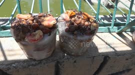 Türkiye: Animals in Turkish zoo cool off with icy cocktails amid heatwave