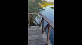 Calling All Crocodiles