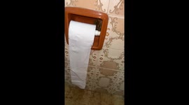 Must Pay the Frog Toll to Use the TP Roll