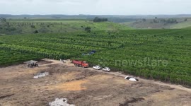 Brazil: Drought-resistant variety, irrigation ensure coffee yield in Esporito Santo amid climate crisis