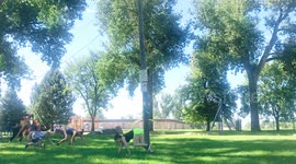 Maybe the Fastest Bear Crawl Ever