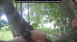 Howell County K-9 officer climbs tree to rescue kitten