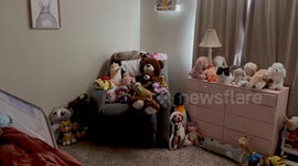 Cats Blend in With Stuffed Animals