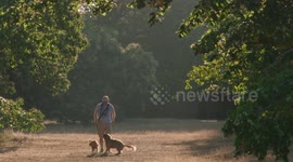 Londoners exercise in the early morning sun in Greenwich Park during a heatwave