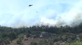 Türkiye: Firefighting teams battle ongoing wildfires in western Türkiye’s Izmir province