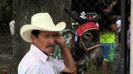Colombia: 19th Regional Donkey Race held in Colombia’s Boyaca region