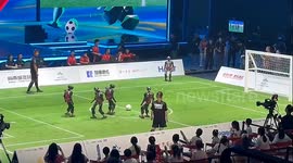 Robots stumble their way through football tournament in China