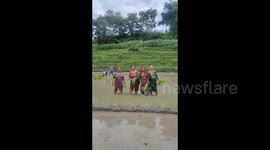 Nepal: Paddy Day celebration in Nepal